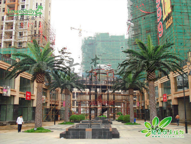 仿真海藻樹(shù)05