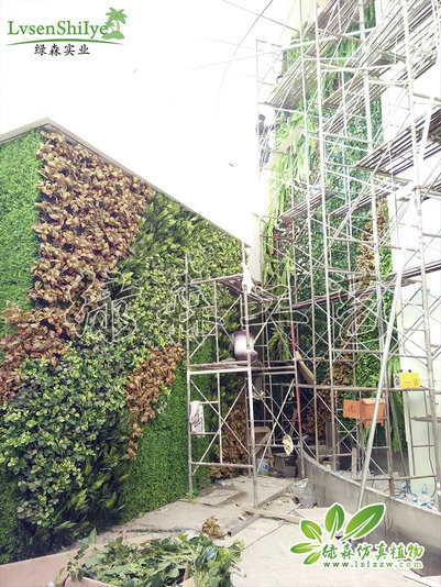 仿真植物墻24
