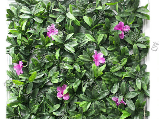 室外植物墻23